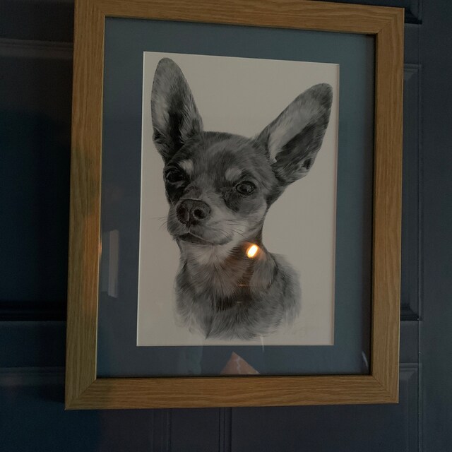 Chihuahua Toy Dog | Pencil Drawing Artwork Print | Signed by