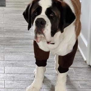 Kwaihay added a photo of their purchase