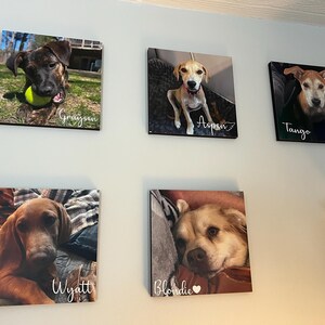 Katie added a photo of their purchase