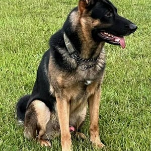 Bud added a photo of their purchase