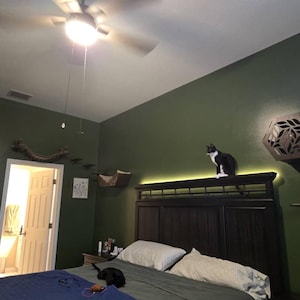 Casey ha añadido una foto de su compra
