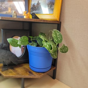 R.E. added a photo of their purchase
