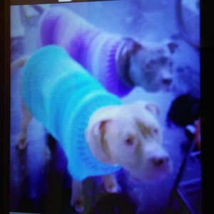 Carolyn hat ein Foto des gekauften Artikels hinzugefügt