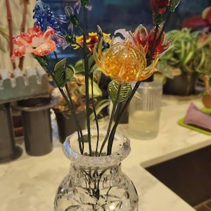 David さんが購入した商品の写真を追加しました