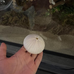 Laken a ajouté une photo de son achat