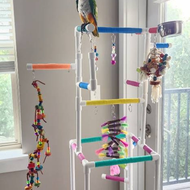THE INDULGER Floor version Fun Play Gym and Play Stand for Conures Cockatiels Caiques Lovebirds Parakeets and Small and Medium Birds Etsy