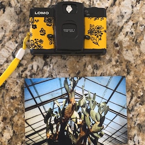 Lindsey added a photo of their purchase