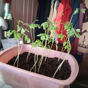 Valla added a photo of their purchase