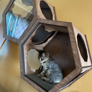Sarah added a photo of their purchase