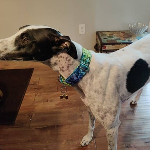 huggable hounds etsy