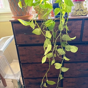 Michael added a photo of their purchase