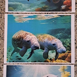 Kerstin added a photo of their purchase