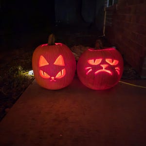 Niedliche Halloween-Grußkarte Mit Katze & Kürbis – Lustig Und Perfekt Für Katzenfans