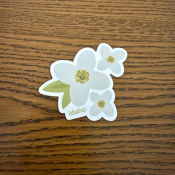 Praying Mantis Sticker, Cute Bug Sticker - Durable Waterproof Laptop ...