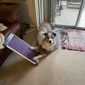 SALE the Original Scratchpad Dog Nail File Scratch Board Do it