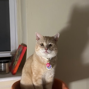 Oliver hat ein Foto des gekauften Artikels hinzugefügt