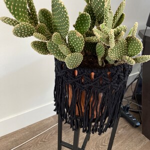 Melissa added a photo of their purchase