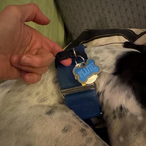 Sig added a photo of their purchase