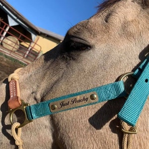 Mackenzie ha añadido una foto de su compra