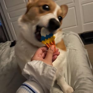 Lois ha añadido una foto de su compra