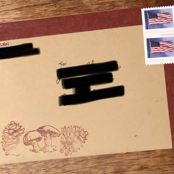 Rustic Ribbon, Woodland Ribbon, Leaf Ribbon Green, Acorn Ribbon, Green ...