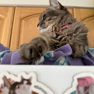 Compte inactif a ajouté une photo de son achat