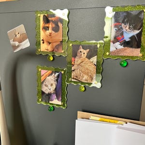 LAETITIA ha aggiunto una foto del proprio acquisto