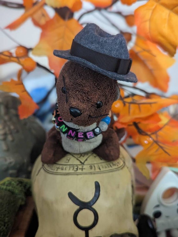 Customer photo of a pet with the Fedora  Hat  for small pet Hedgehog Vogue
