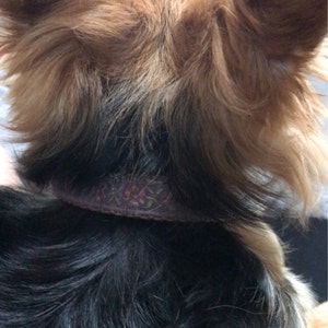 Rhiannon ha añadido una foto de su compra