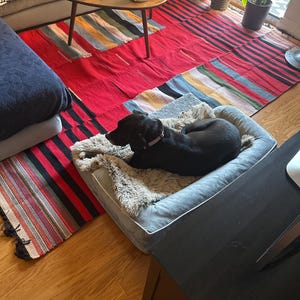 Maya added a photo of their purchase
