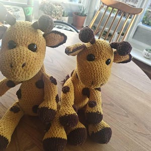 Lottie added a photo of their purchase