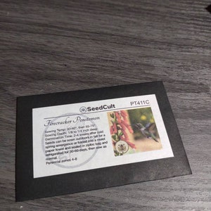 NEW! Firecracker Penstemon Seeds, Eaton's Penstemon, US Native Wildflower, PT411C