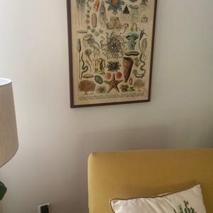 Donna added a photo of their purchase