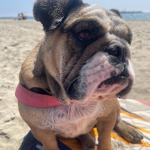 Jazleen ha añadido una foto de su compra