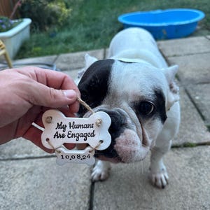 Emily added a photo of their purchase