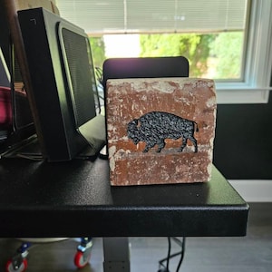 Dana added a photo of their purchase
