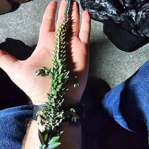 Ryan added a photo of their purchase