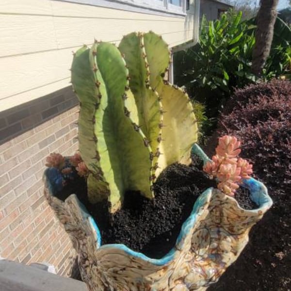 Handmade Ceramic Succulent Planter ~ the Tamara Piece - Etsy