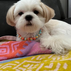 Susan added a photo of their purchase