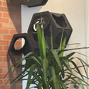 rene added a photo of their purchase
