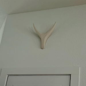 Carleen added a photo of their purchase