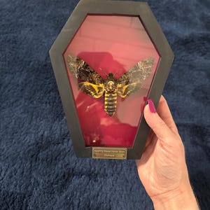 Paige a ajouté une photo de son achat