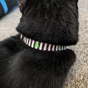 Samantha ha añadido una foto de su compra