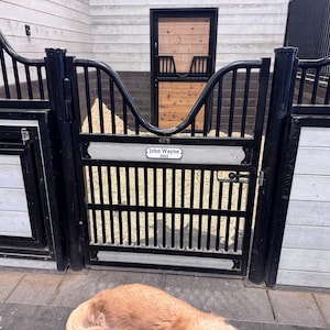 Doug added a photo of their purchase