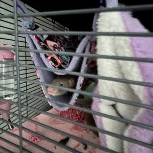 Siloh added a photo of their purchase