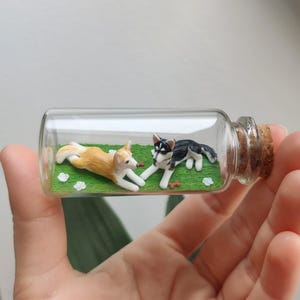 Luis added a photo of their purchase