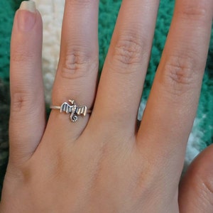 Shania added a photo of their purchase