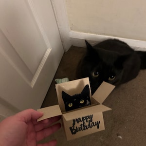 Claire added a photo of their purchase