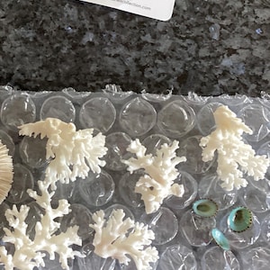 Michele さんが購入した商品の写真を追加しました