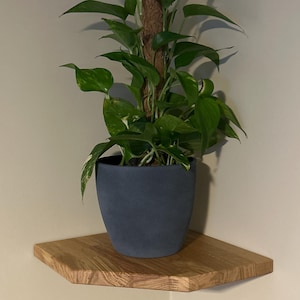 Alexander added a photo of their purchase